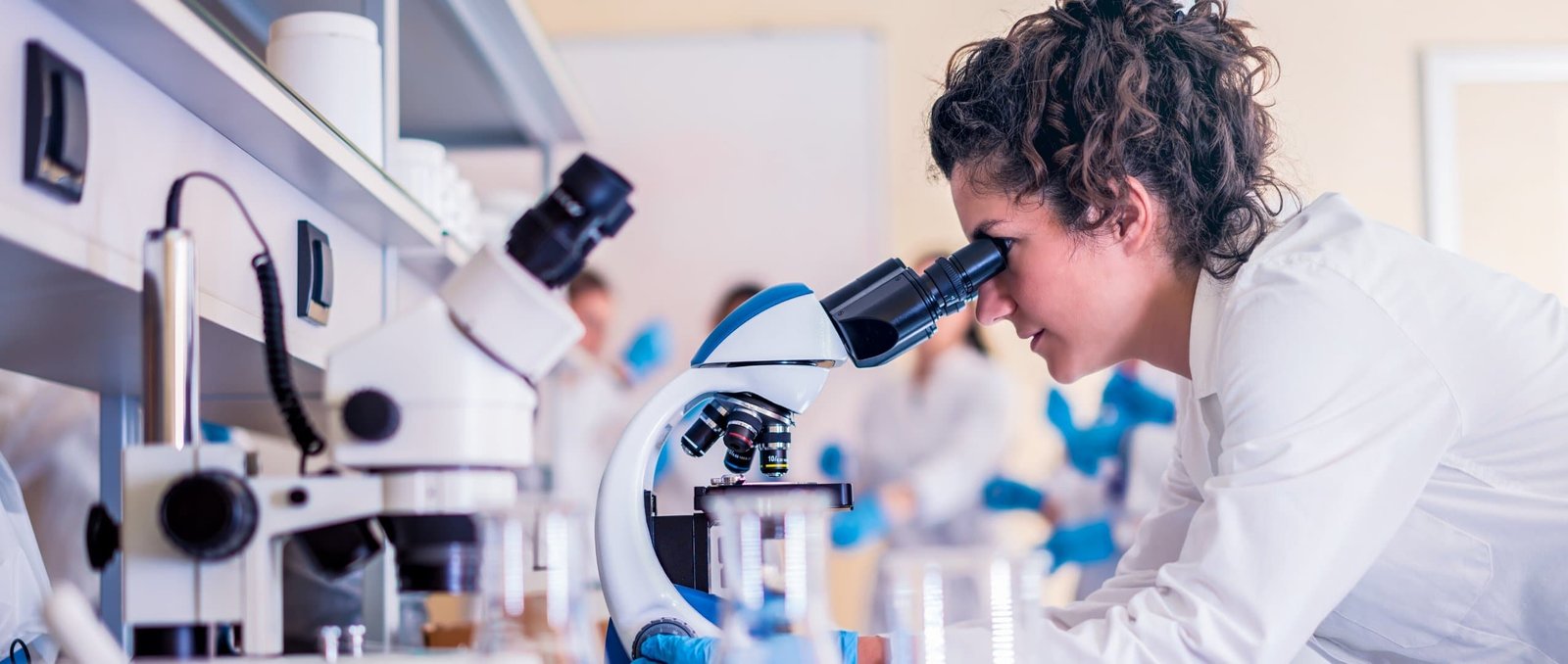 Bench Fees for Amanda Palesa Thobega